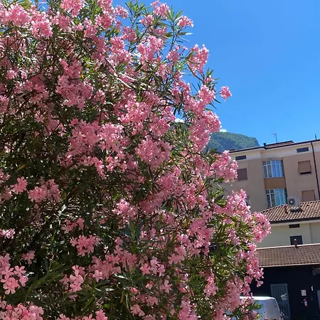 Risorgimento 55 Apartment