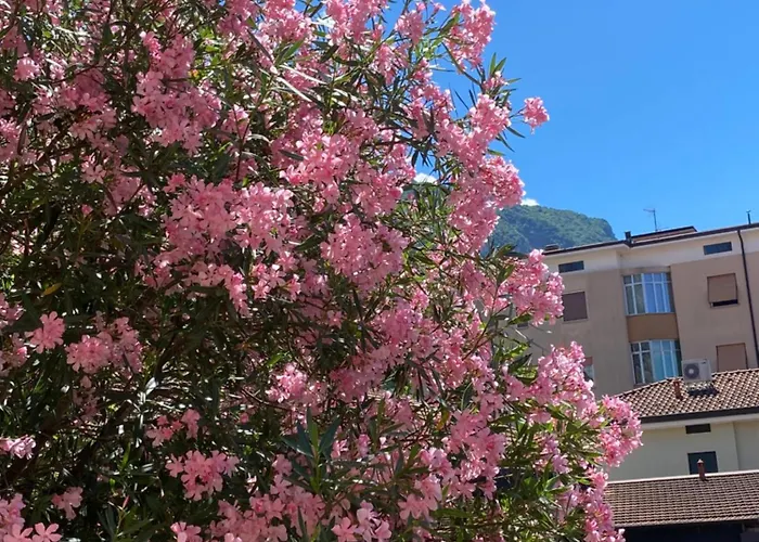 Risorgimento 55 Apartamento